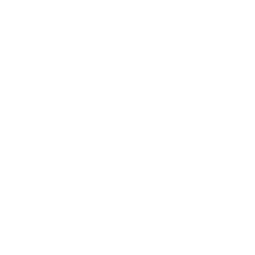 Brazil Serie D badge