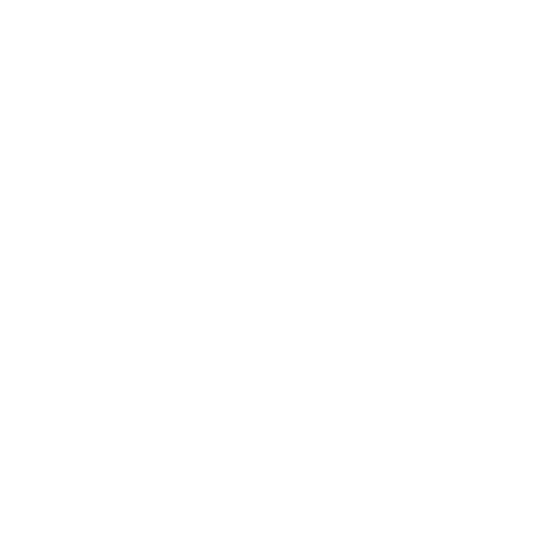 Brazil Serie D logo