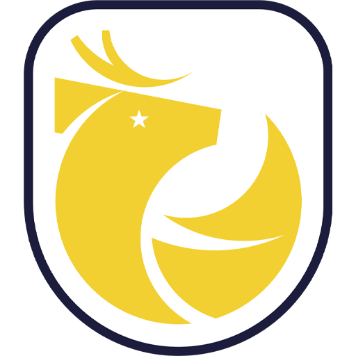Chile Primera Division badge