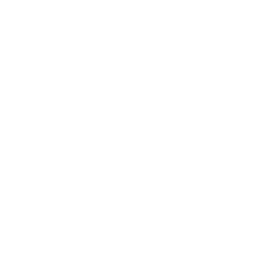 DDT Pro badge