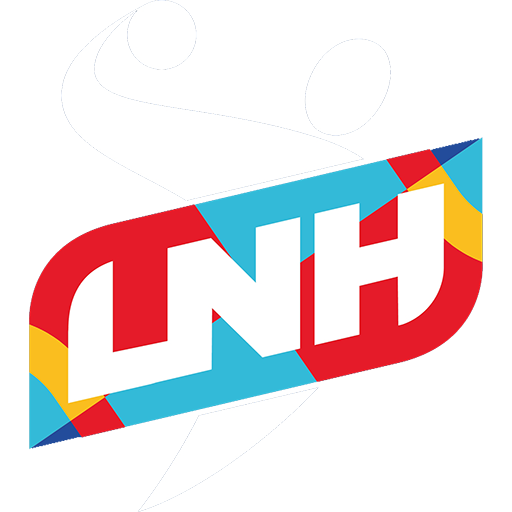 French LNH Division 1 badge