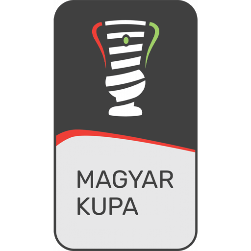 Hungarian Cup badge