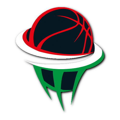 Hungarian Nemzeti Bajnokság IA logo