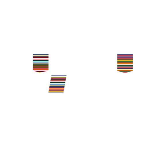 New Zealand National Provincial Championship logo