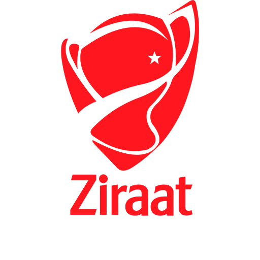 Turkish Cup logo