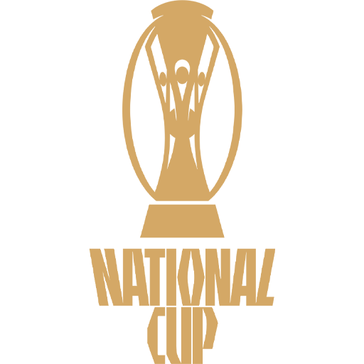 Vietnamese Cup logo