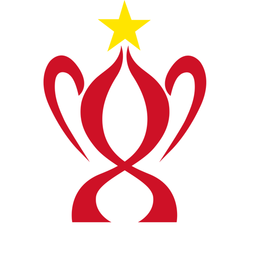 Vietnamese Cup logo