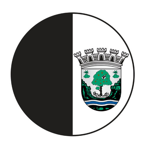 Académico do Fundão badge