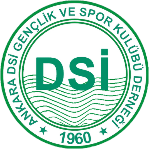 Ankara DSİ badge