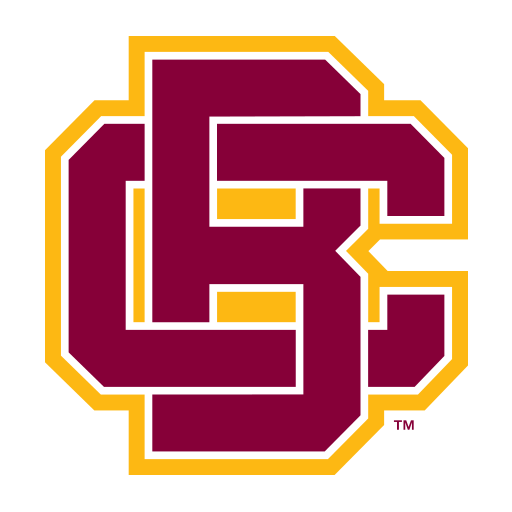 Arkansas-Pine Bluff badge