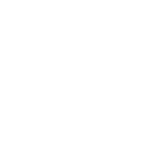 Ataka Vilnius badge