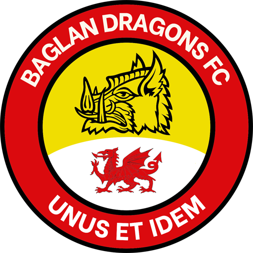 Baglan Dragons badge