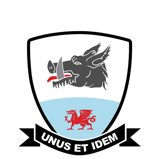 Baglan Dragons badge