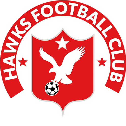 Banjul Hawks badge