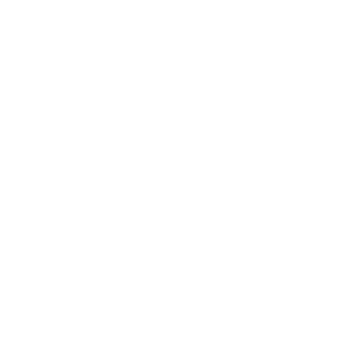 Bàsquet Sant Antoni badge