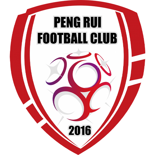 Beijing Pengrui badge