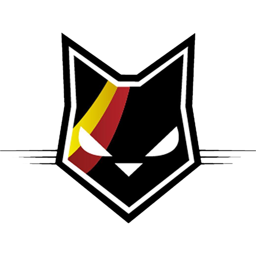 Belgium Basketball Women badge