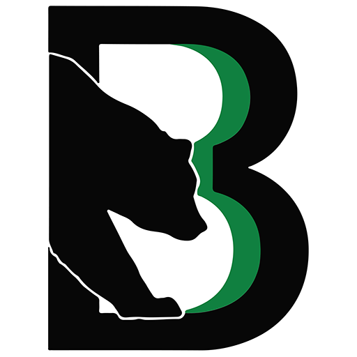 Binghamton Black Bears badge