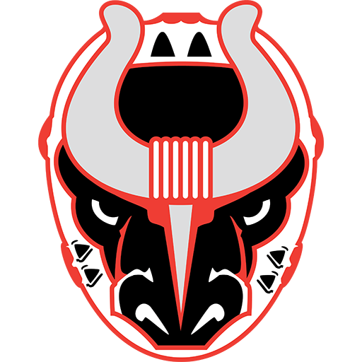 Birmingham Bulls badge