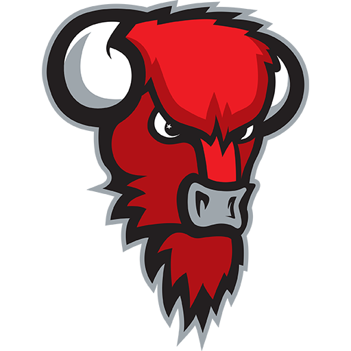 Bisons Loimaa badge