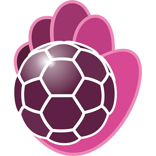BM Guadalajara badge