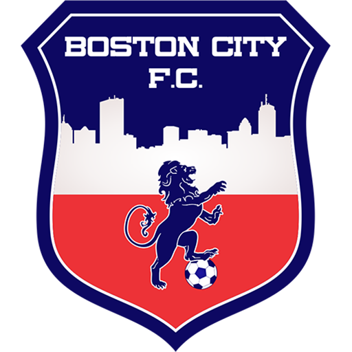 Boston City badge