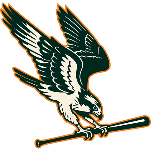 Boston Hunters badge