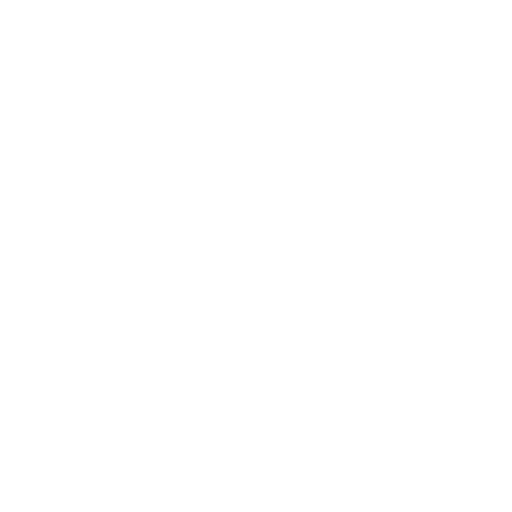 Braunschweig Lions badge
