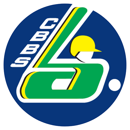 Brazil Baseball badge