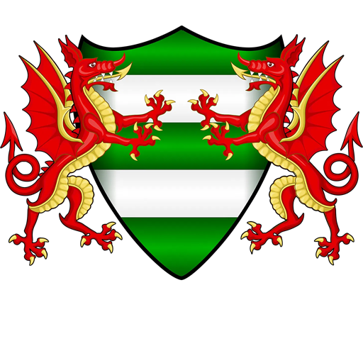 Brickfield Rangers badge