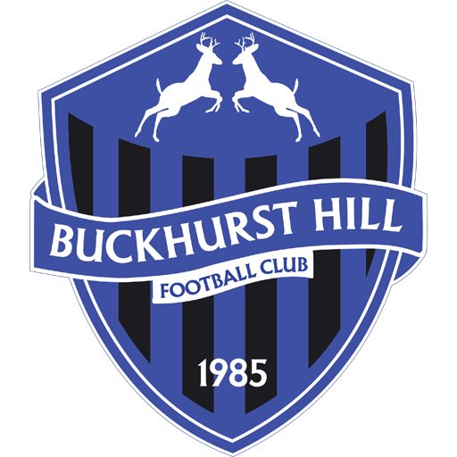 Buckhurst Hill badge