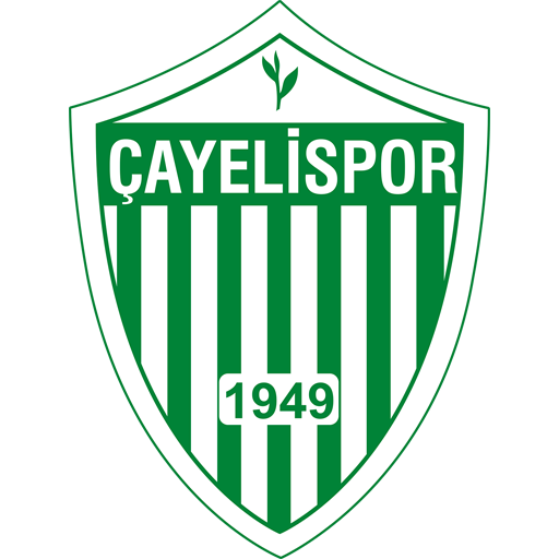 Çayelispor badge