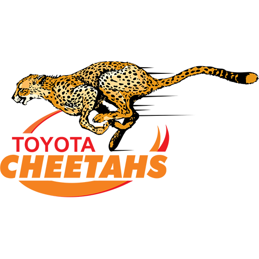 Cheetahs badge