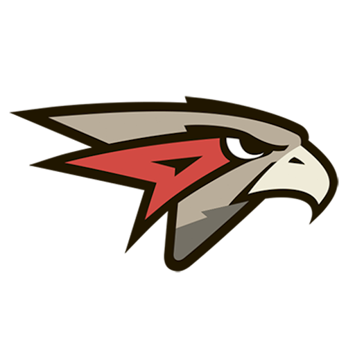 Chelmet Chelyabinsk badge