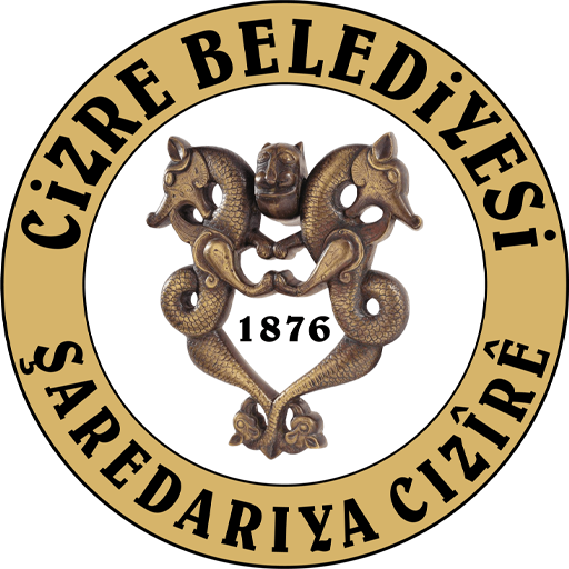 Cizre Belediyespor badge