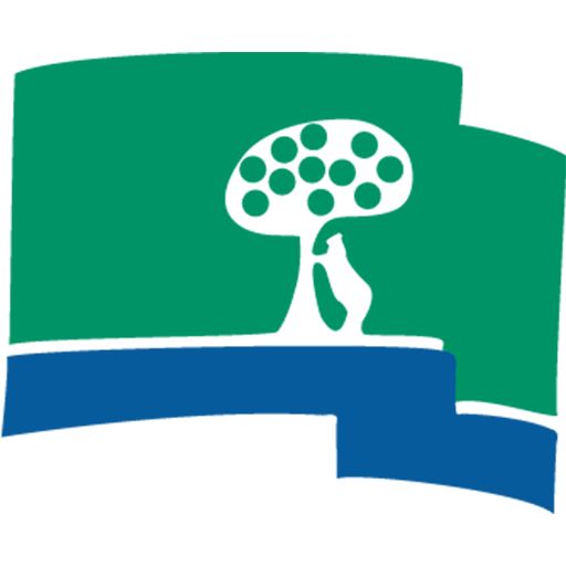 Club de Campo badge