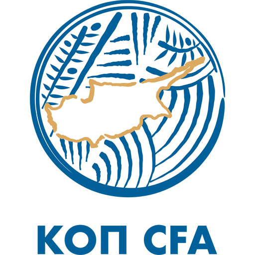 Cyprus U17 badge
