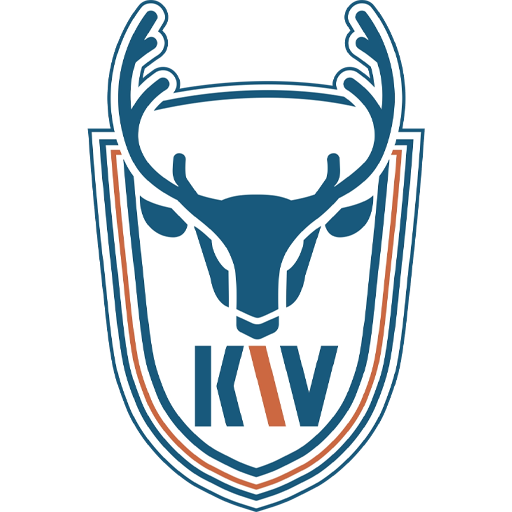 Dalian Kewei badge