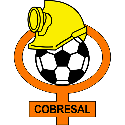 Deportes Antofagasta badge