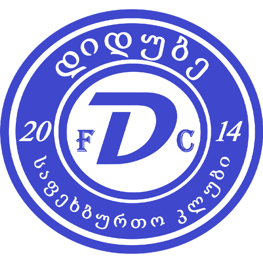 Didube 2014 Tbilisi badge