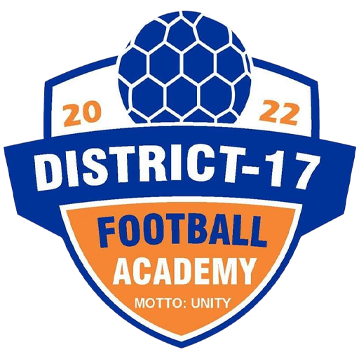 District 17 badge