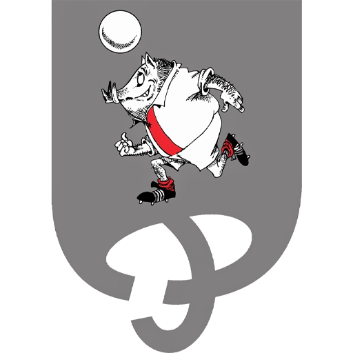 Doneztebe badge