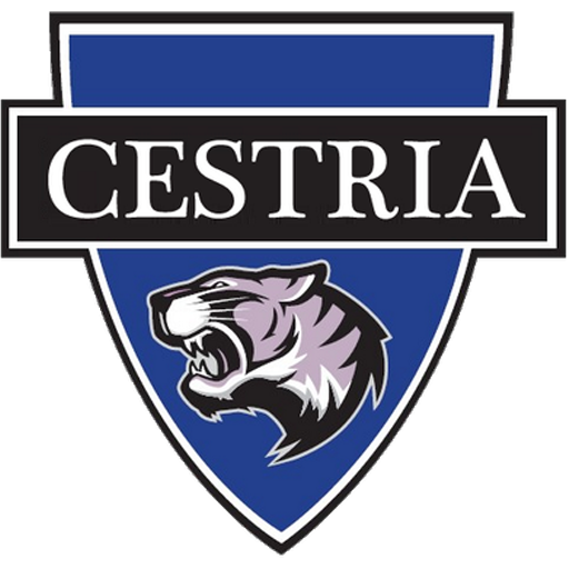 Durham Cestria badge