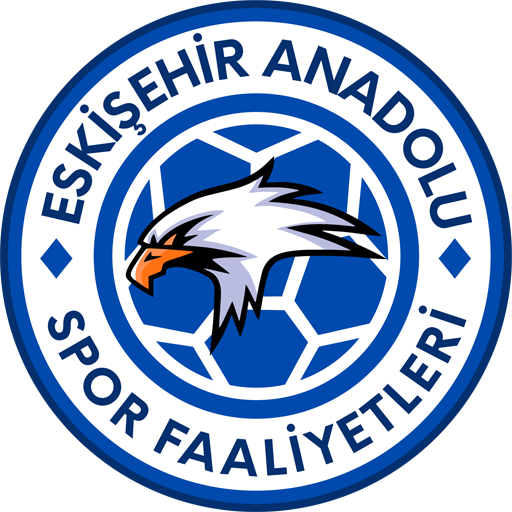 Eskişehir Anadolu badge