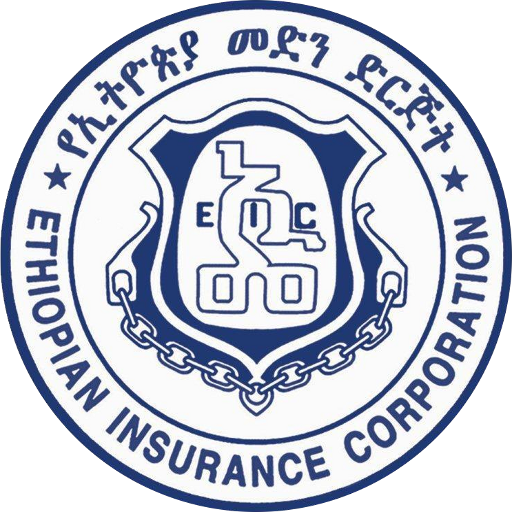 Ethiopian Medhin badge