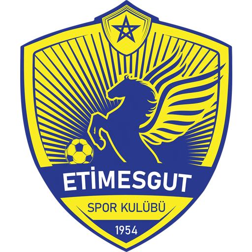Etimesgutspor badge