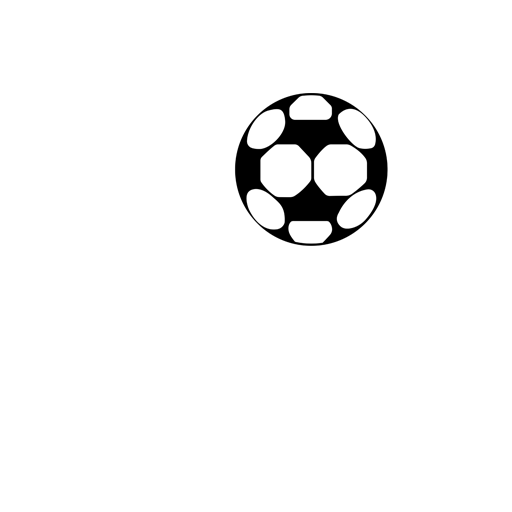 Fakirerpool YMC badge