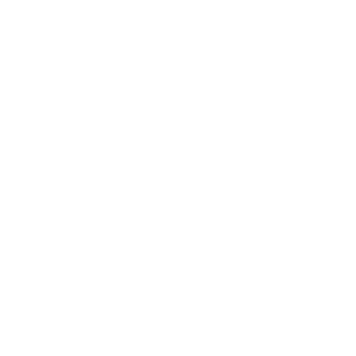 Fijian Drua badge