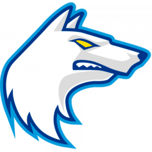 Finland Basketball Women badge