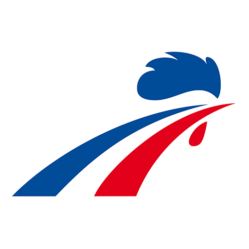 France Ice Hockey badge